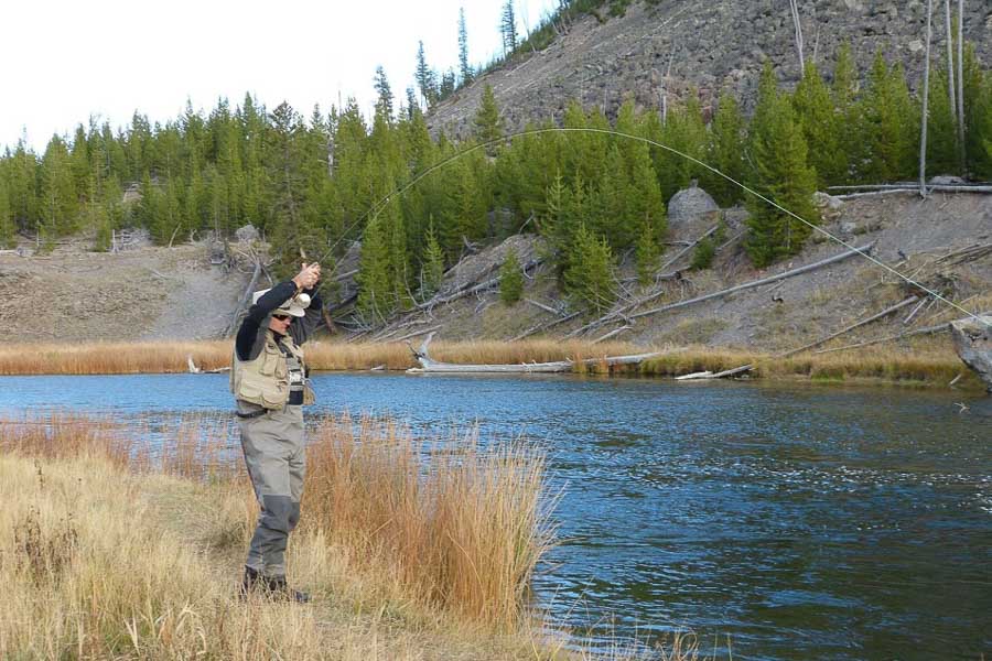 trout fishing montana