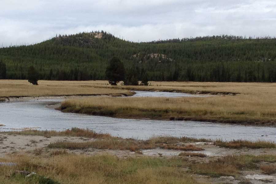 trout guides montana