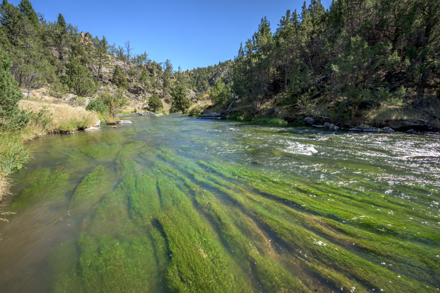 Montana creek fishing private access wade fishing
