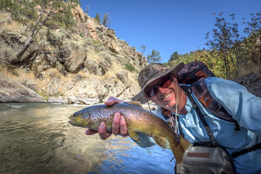 Decent small stream brown trout guided wade fishing