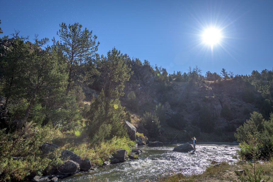 Bugs hatching on Willow Creek guided fly fishing small streams