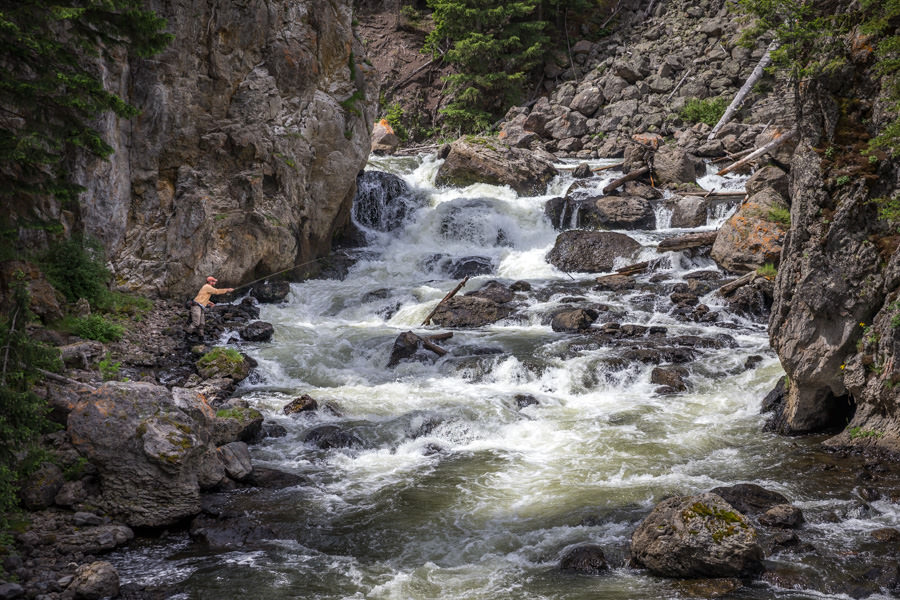 fishing yellowstone national park fly fishing yellowstone national park