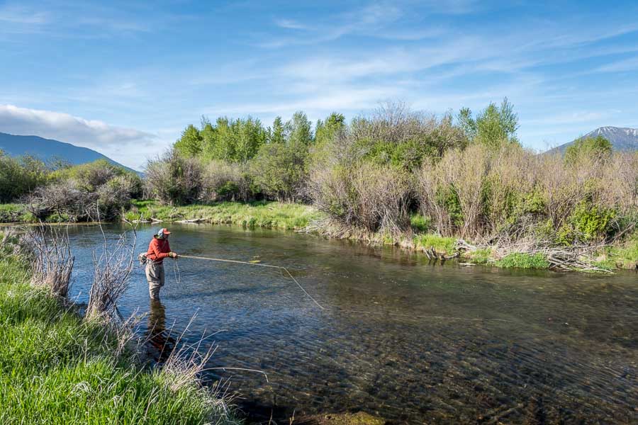 "The beauty of true spring creeks is that their water source comes from underground aquifers, creating a stream that is unaffected by run-off, stays crystal clear, with consistent and almost constant water temperatures year-round."