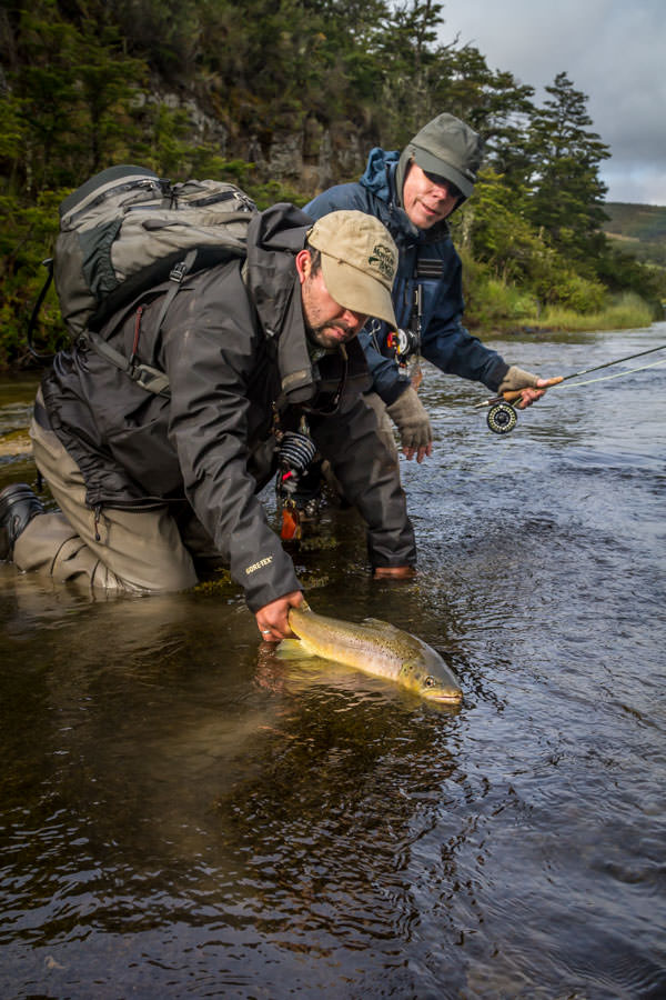 Randy Buckley with a nice brown in with Eduardo Barrueto