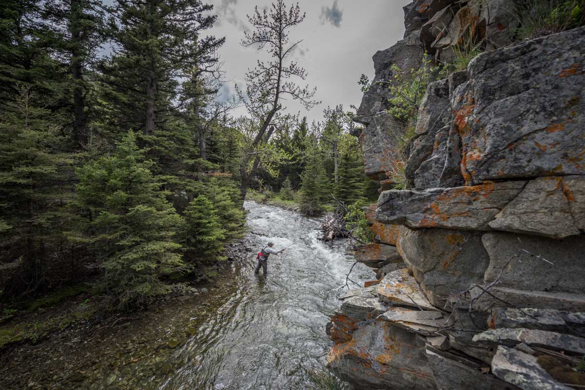 "Resist the urge to pull out your rod at the first good looking run that you come to. Try to estimate about how far an average angler would get from the bridge if they spent the day fishing up or down from it and hike to this location"