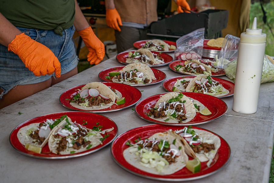 Montana Angler, Montana fly fishing trips