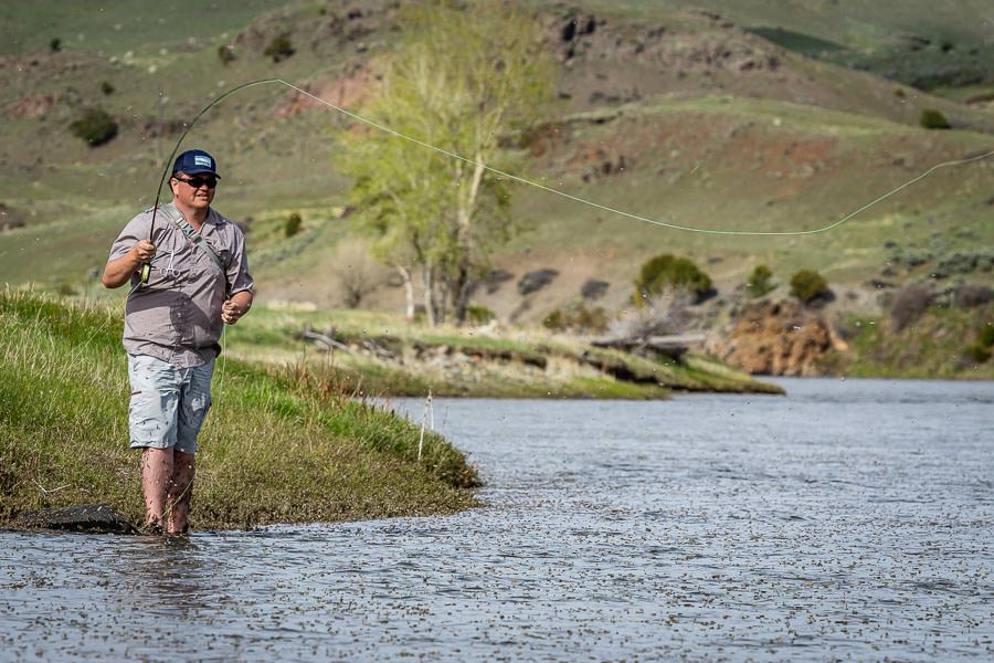 "During the first week of May the Mother’s Day Caddis begins to explode off of rivers like the Madison, Yellowstone and a few others and extends until run off hits..."