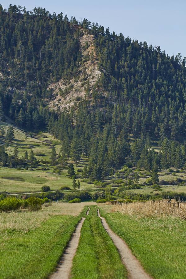 Montana fishing guides