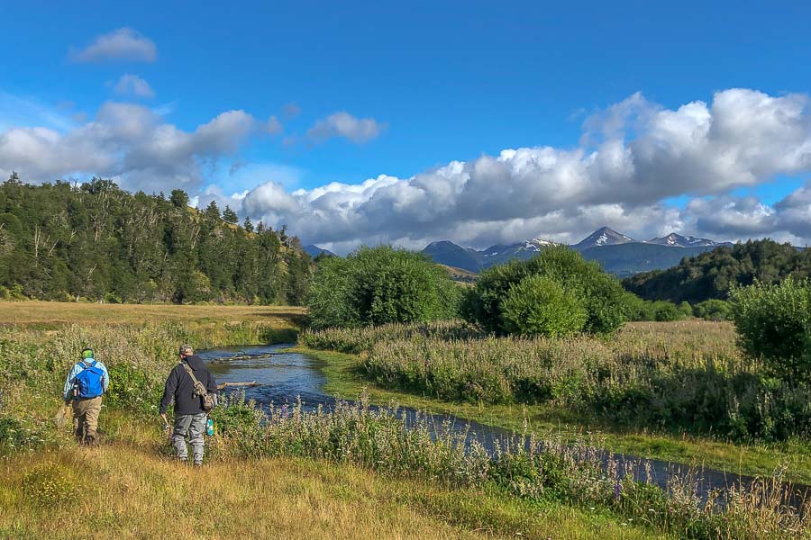 A picturesque spring creek just minutes from the lodge