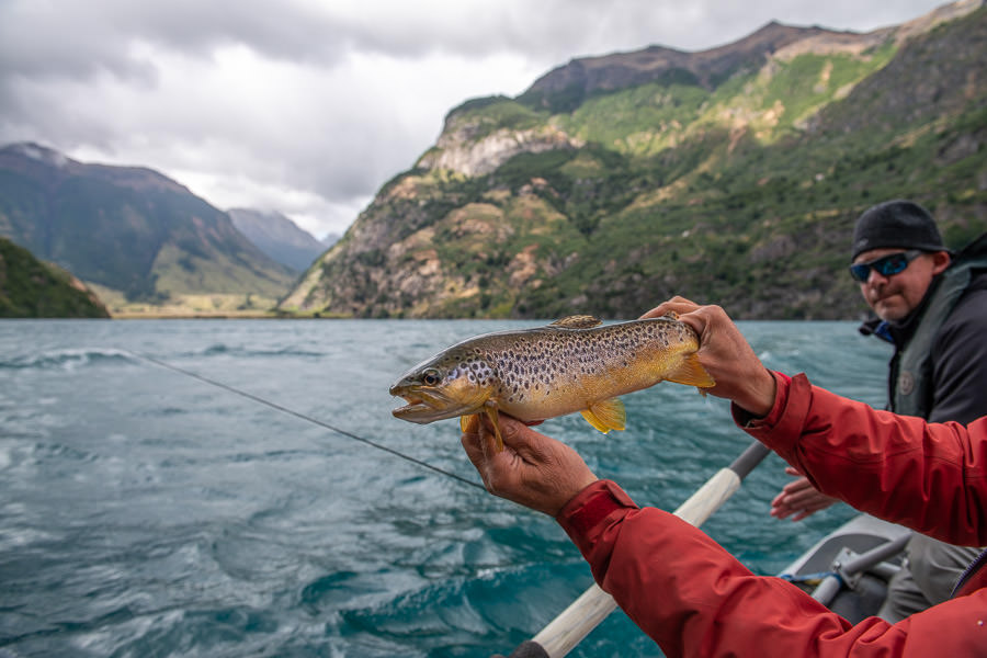 Jose shows off a Lago Azul brown