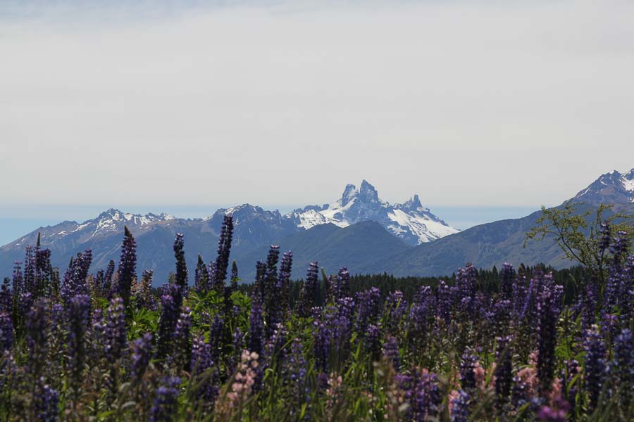 Montana Angler Fly Fishing Destinations