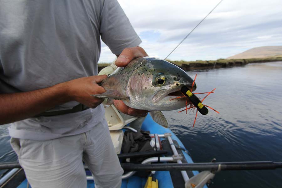 Montana Angler Destination Fishing Trips