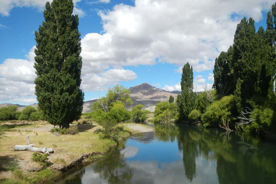Argentina Fly Fishing Trips