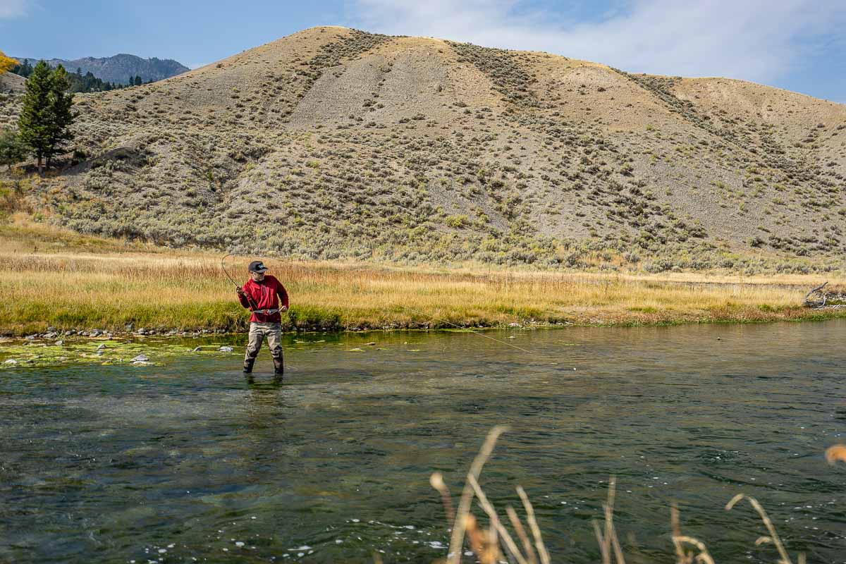 Yellowstone Park Guided Fly Fishing