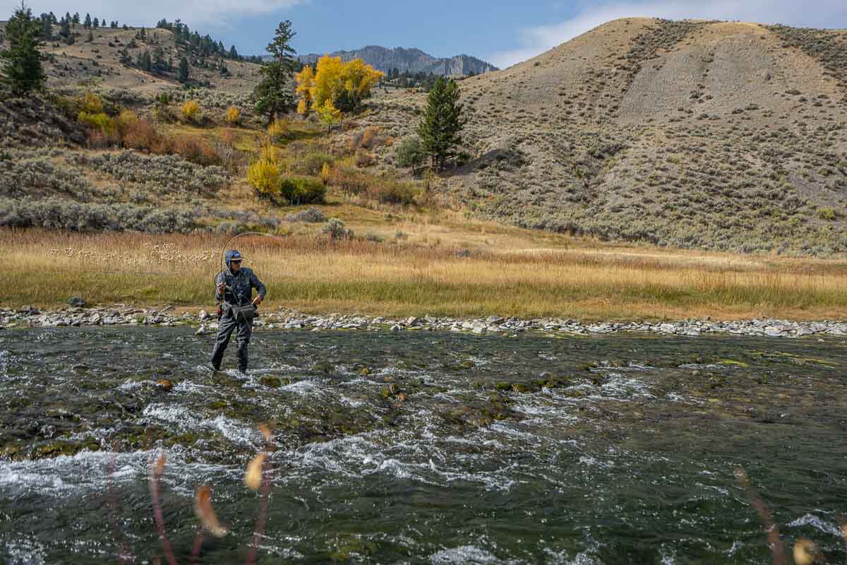 Yellowstone Park Fly Fishing