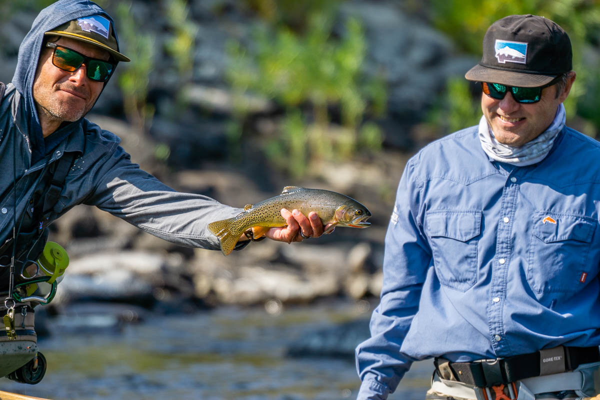 montana guided trout fishing