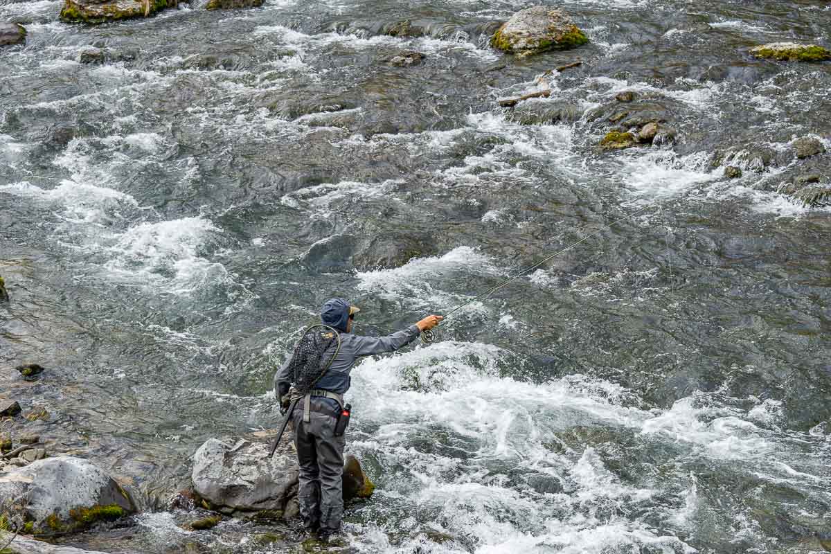 fly fishing yellowstone river