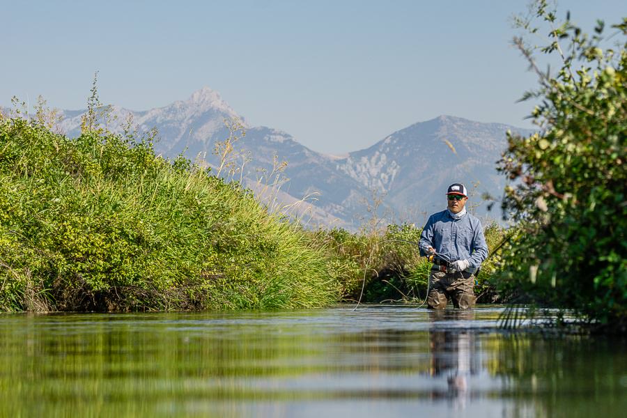 Small Stream Fishing