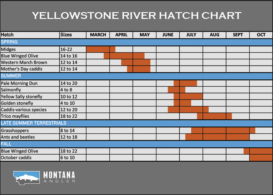 Yellowstone River Hatches & Fishing Hatch Chart