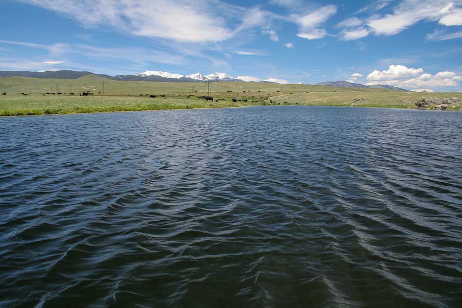 harrison lake fly fish guides