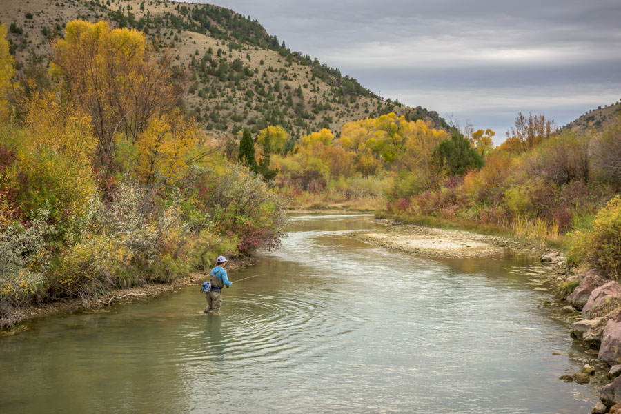 Ruby River