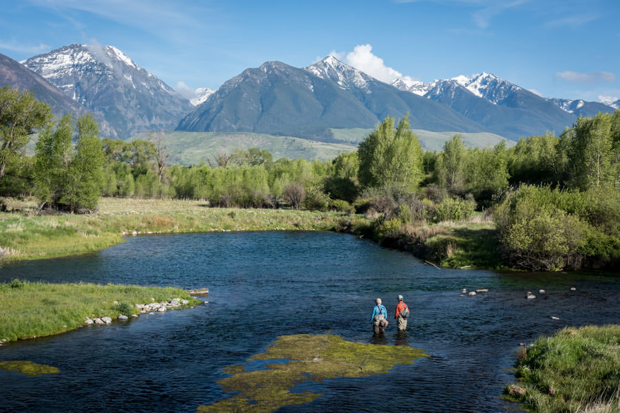 Montana spring creeks fishing report Montana spring creeks fishing report