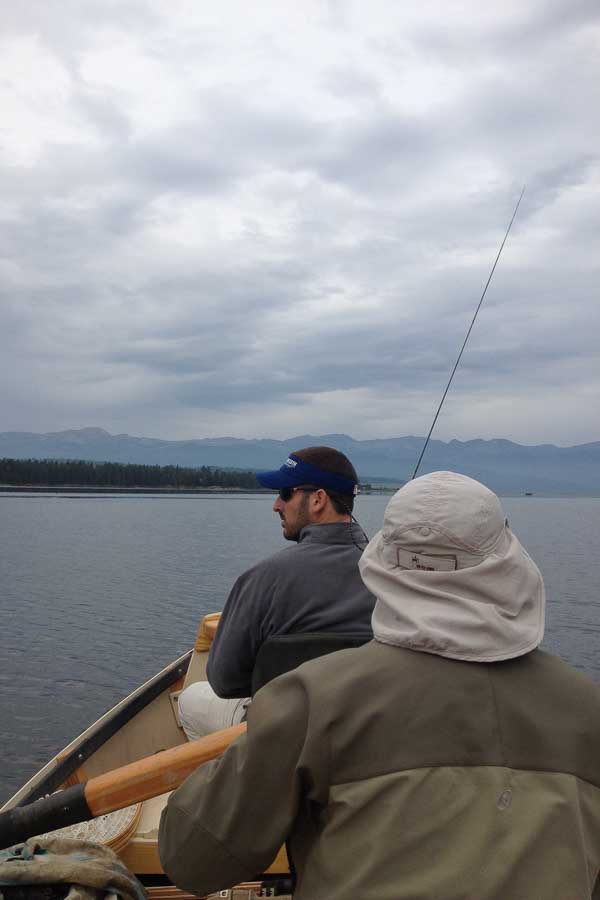 montana trout fishing