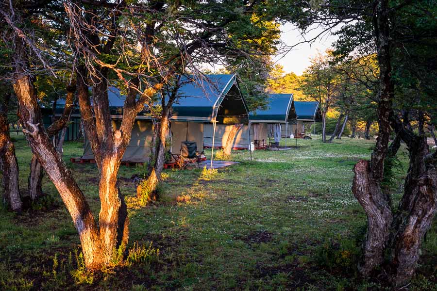 Brook Trout Basecamp