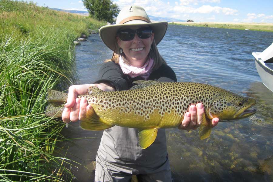 Madison River Fly Fishing, Montana Angler