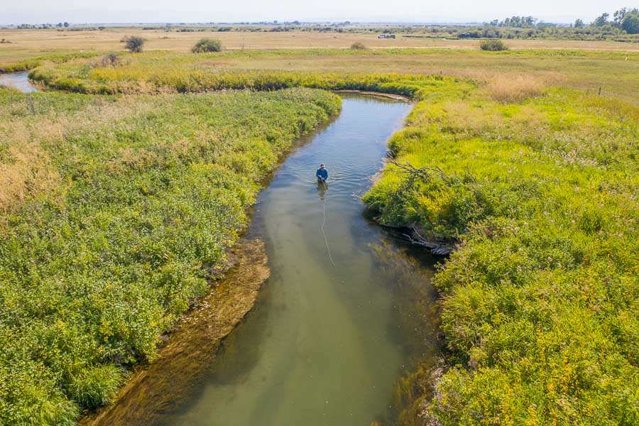 Montana Fly Fishing