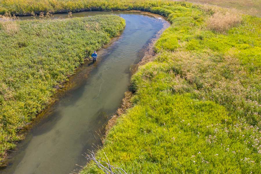 Small Stream Fishing Montana