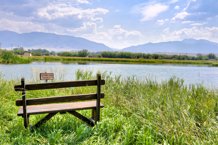 Montana Fishing Guides, Montana Fly Fishing