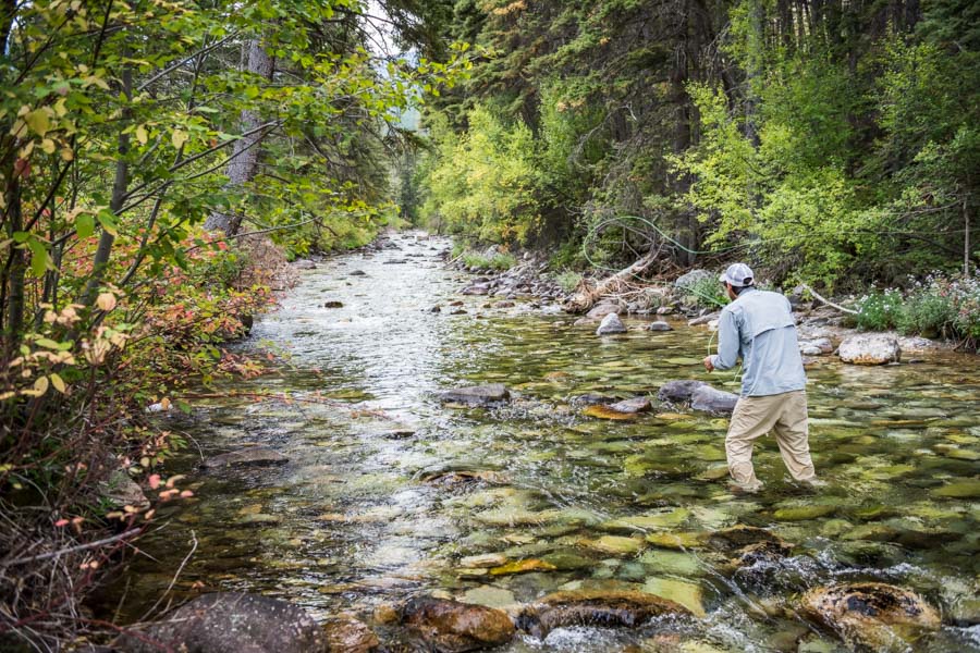 Montana guided fly fishing