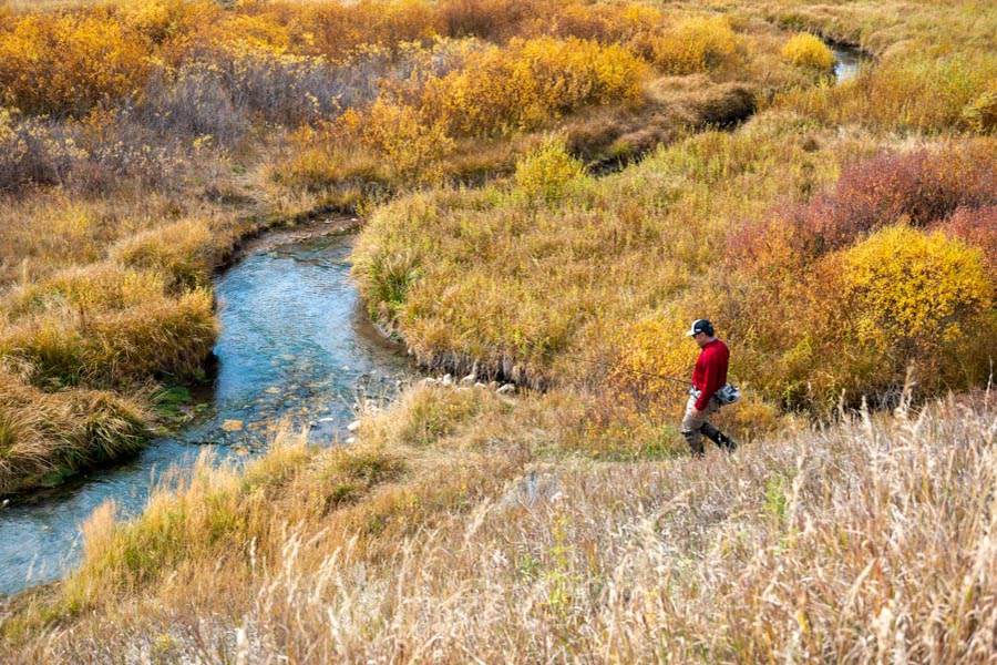 Montana guided fishing