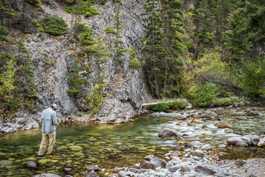 Montana guided fishing