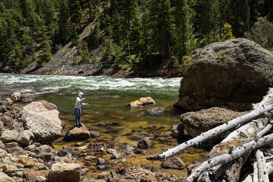 Yellowstone fly fishing guides