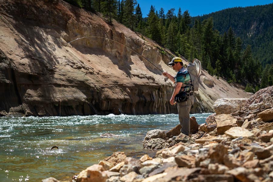 Montana guided fly fishing