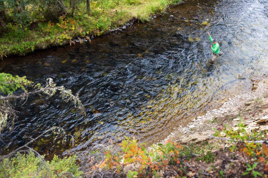 Bozeman fishing guides