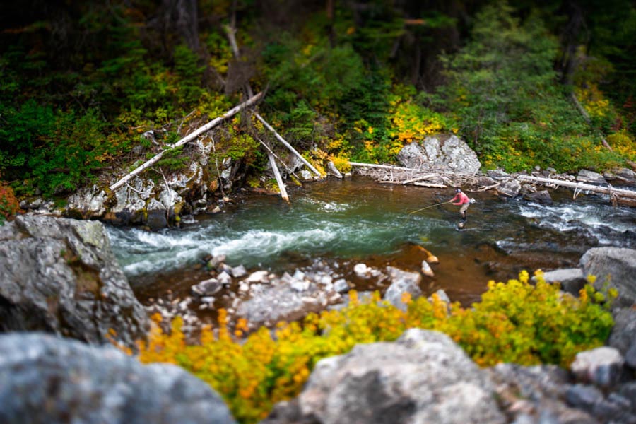Montana wade fishing