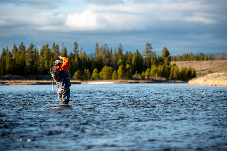 Yellowstone park guided fly fishing