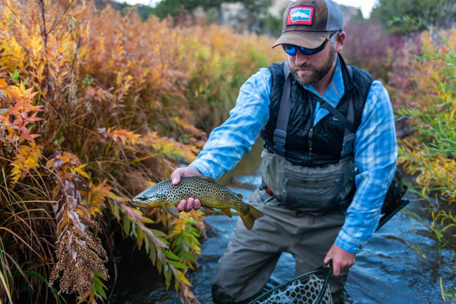 Montana guided fly fishing