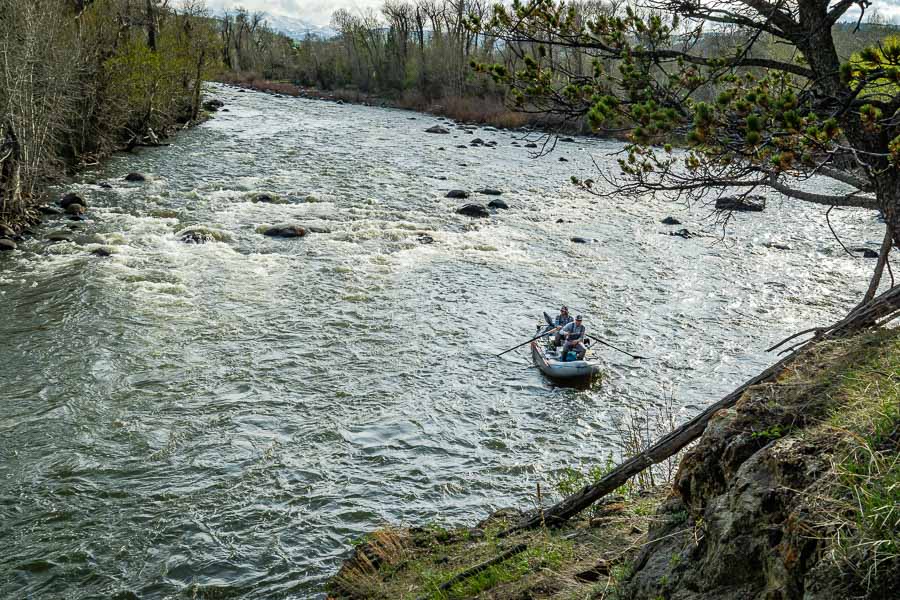 Montana Fishing Guides, Montana Fishing Trips