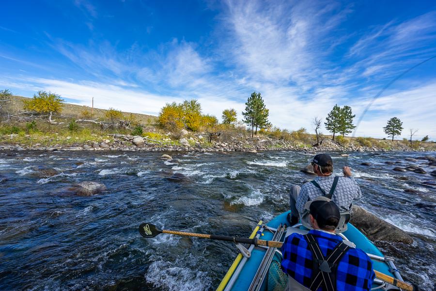 Montana Fly Fishing Trips