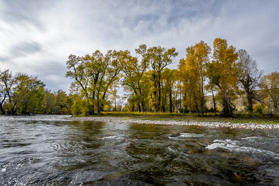 Montana Fly Fishing