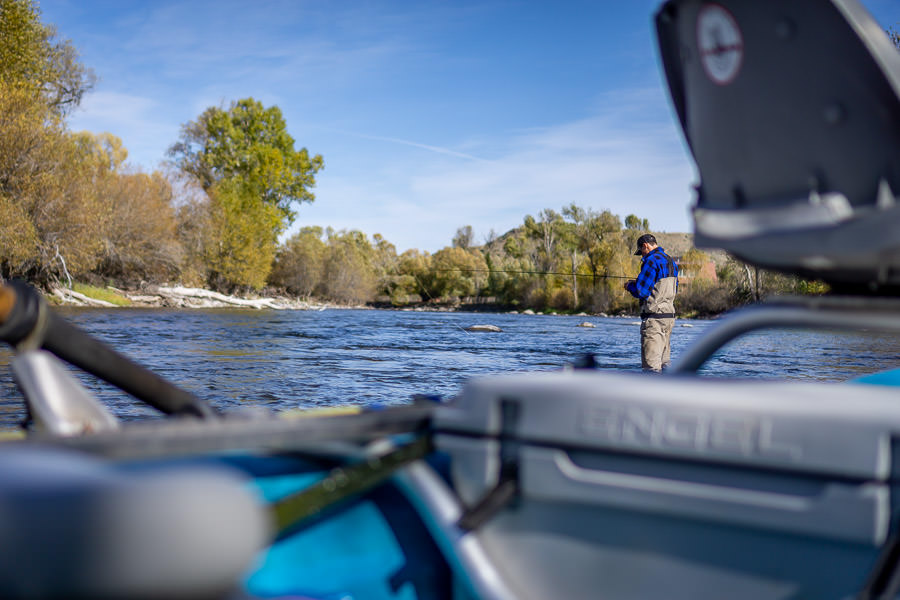 Montana Angler Fly Fishing