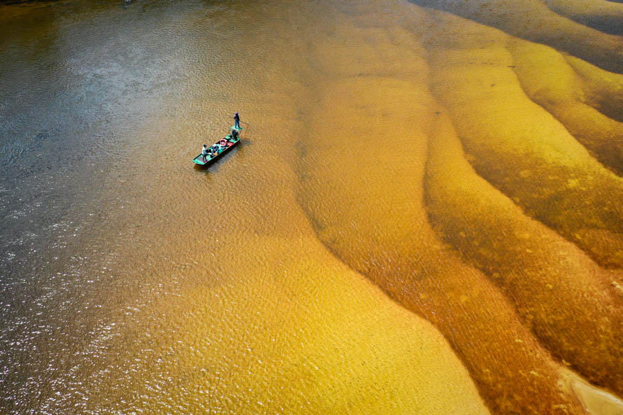 The clear waters of the Agua Boa provide anglers with some of the best sight casting opportunities in the Amazon region. The exceptional water clarity is what sets this unique fishery apart from many others