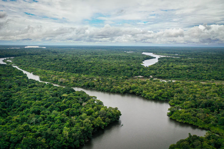 Some of the large backwater bays that connect with them main river are home to huge peacock bass