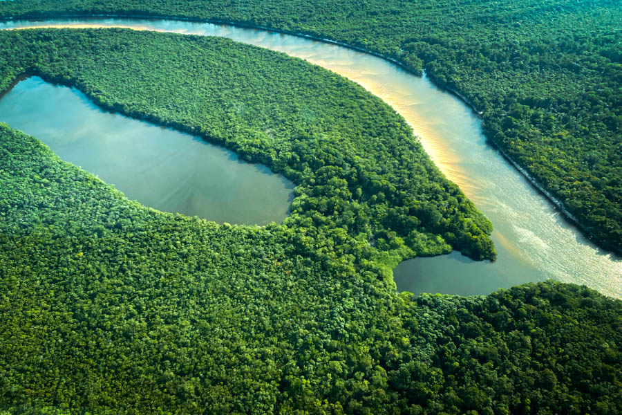 Amazon lagunas Many oxbow lakes, or lagunas, are located near the main river. These lakes are flooded during the rainy season and are filled with peacock bass and often huge 200+ lb aripaima in the dry season. Some lagunas can be accessed through small connecting channels through the jungle while others you must make a short hike through the forest. For the land-locked lagunas the lodge has stashed extra boats along the lakes