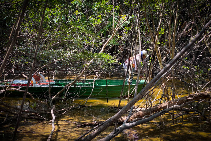 Jungle river Some of the lagunas can be accessed by using a machete or chain saw to hack your way through small side channels