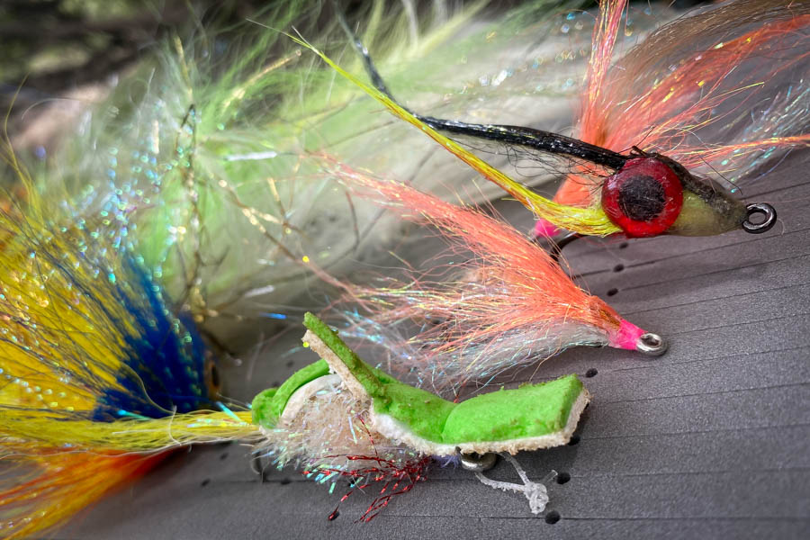 Peacock bass love colorful streamers as well as large poppers and surface gurglars. Just make sure to bring plenty of extras as high catch rates will require some flies to be retired. Piranha can often sneak in to give your fly a haircut!